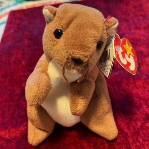 Nuts the squirrel Beanie Baby collector’s item; 1996 ; 4114 in excellent cond